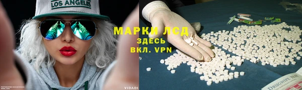 стаф Верея