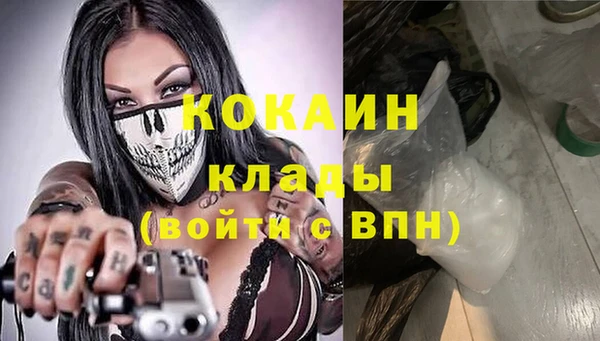 стаф Верея