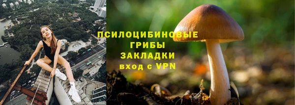 ECSTASY Сосновка